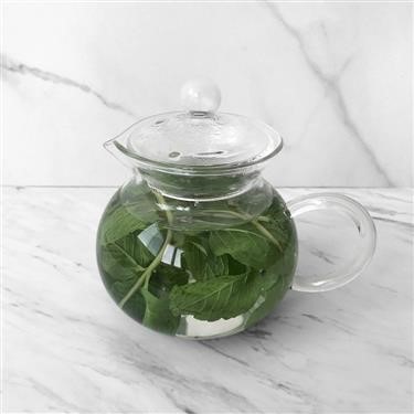 &quot;Green Tea as a Diet Aid