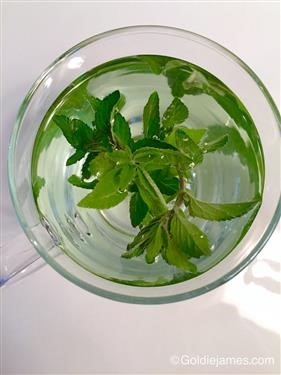 &quot;What Kind of Tea Can You Drink on Hcg Diet