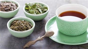 &quot;The Best Green Tea Diet Pills