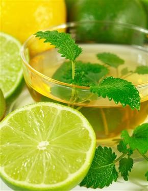 &quot;Is Citrus Diet Green Tea Good for You