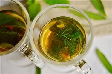 &quot;17 Day Green Tea Diet Pdf