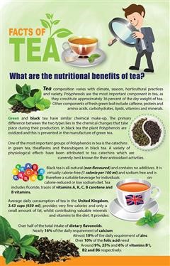 &quot;Does Arizona Diet Green Tea Have Aspartame